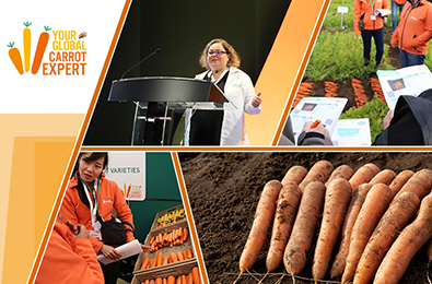 3rd International Carrot Symposium: Vilmorin-Mikado’s Carrot Range Takes the Place of Honor!