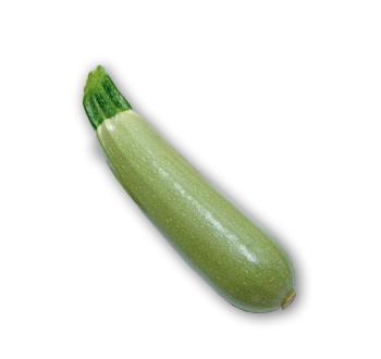 Squash