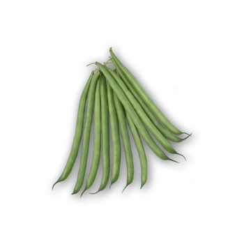 Bean