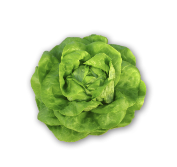 Lettuce Butter