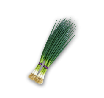 Bunching Onion