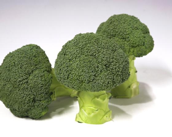 broccoli on white background