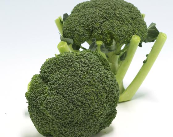 Broccoli on white background