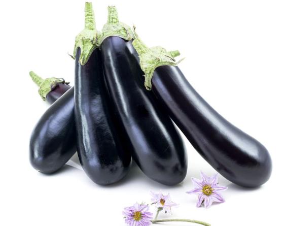 photo of eggplant with white background