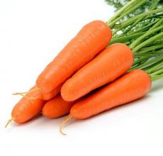 VilmorinMikado Carrot Specie 